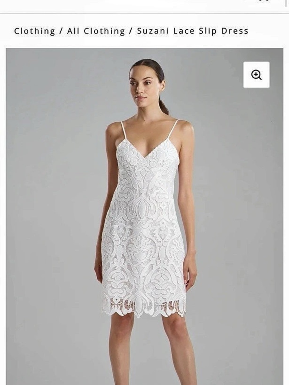 Natori Suzani Lace Slip Dress Floral Lace White Size 10 NWT